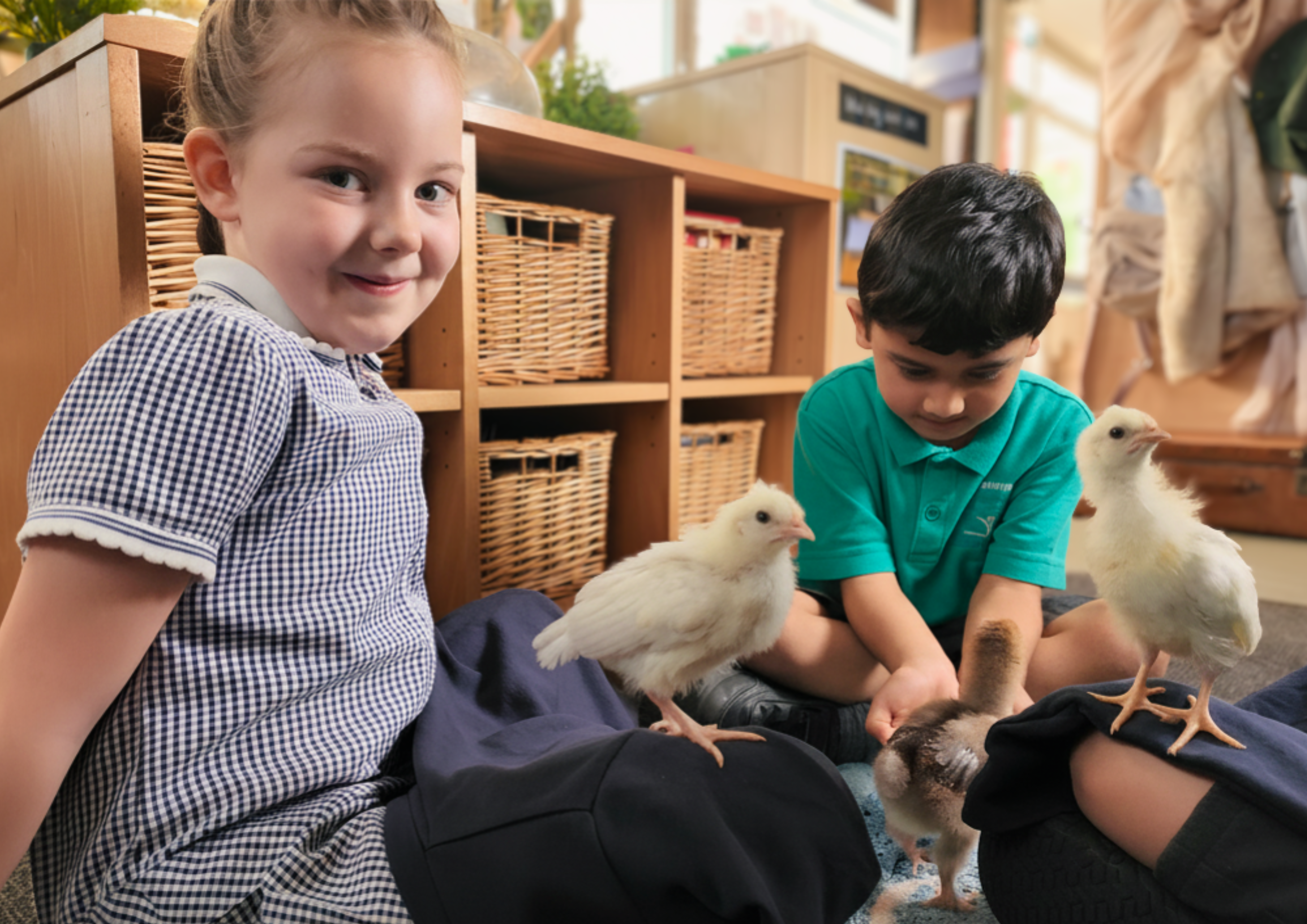 Welcome to Ham Dingle Primary School